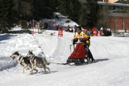 San Bernardino 2008